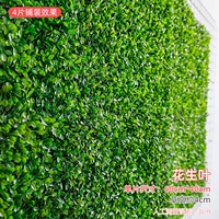 Арахисовая трава