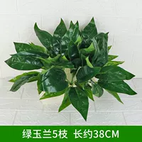 Зеленая магнолия 5 ветвей