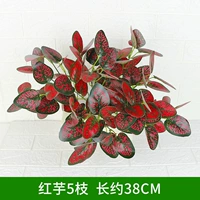 5 Красный Таро