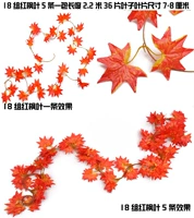 18 групп красного клена оставляет упаковку