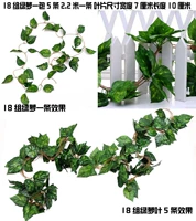 18 групп листьев зеленых листьев