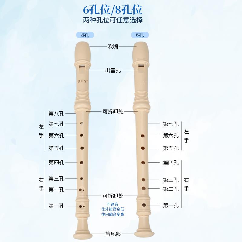 Chimei DHS Flute Treble German 8hole 6hole Children's Beginner