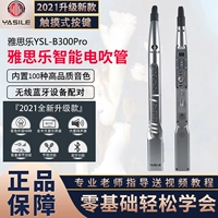 Yasile IELTS 2022 Новый B300PRO Hair Tube