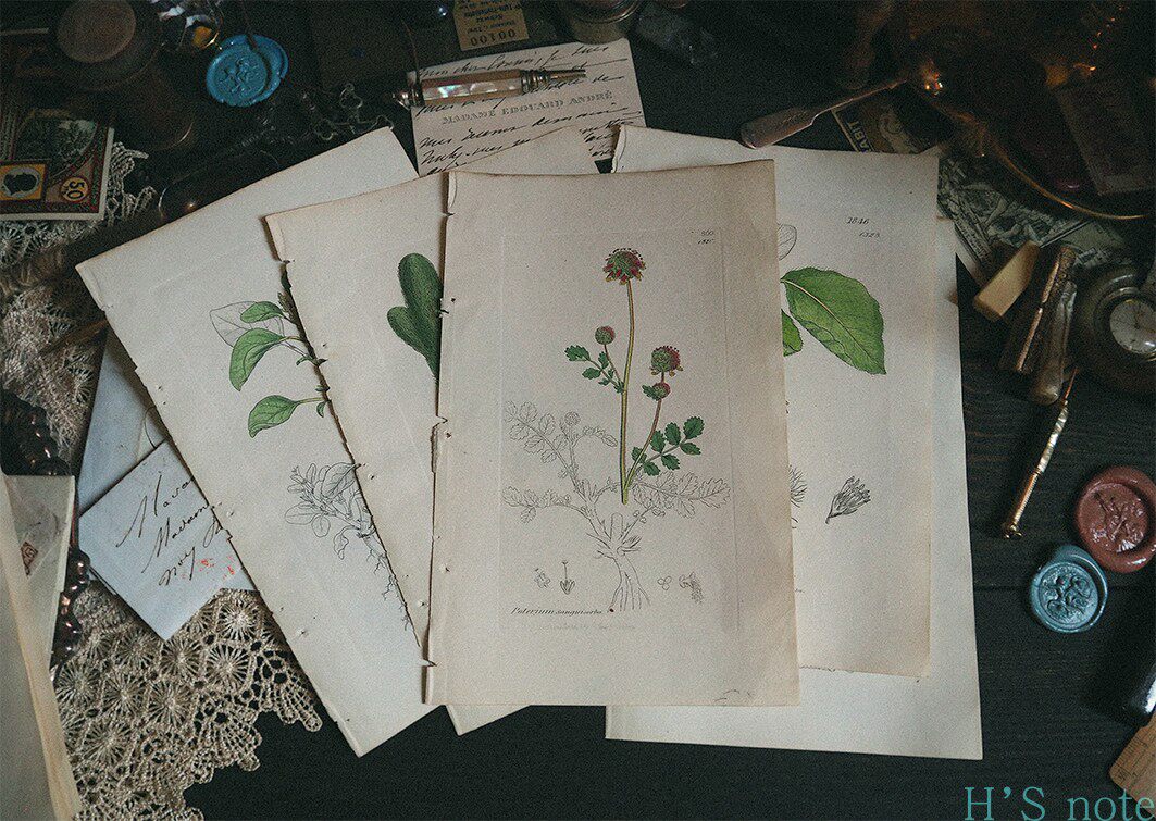 British 18th century botanics hand colored carving decorative paintings copper print vintage book page