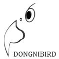 TI钛产品供应链in东霓创意