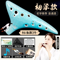 [Рекомендуемая начальная школа] зеленая авария