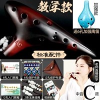 [Модель обучения] Летняя пена, шесть -отверстие для материального обучения+Lanyard+защитная сумка