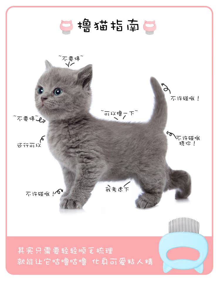 Cat lược vỏ lược để phao tóc chải chải lông mèo sạch mèo lông chải mèo chải tóc mèo cung cấp - Cat / Dog Beauty & Cleaning Supplies 	mua lược chải lông mèo