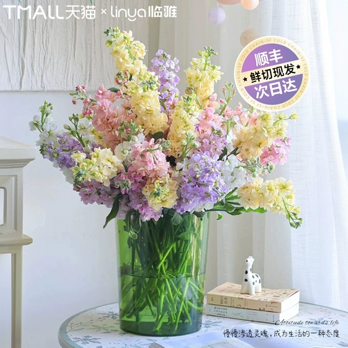 Фиолетовое цветочное гидропонное растение свежие нарезанные цветы yunnan прямые волосы цветы дома