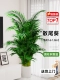 Рекомендуется ✅ ✅ 大 大 大 大 1,6-1,8 метра 12 [Cylina Resin Pot]