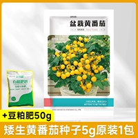 Дварф Желтые семена томатов 50 зерна 1 упаковка оригиналов+удобрение для соевых блюд 50G