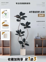 4-полюсное каучуковое дерево 1,8 метра 26 листьев черный + бежевый горшок из полипропилена (возможна доставка SF Express)