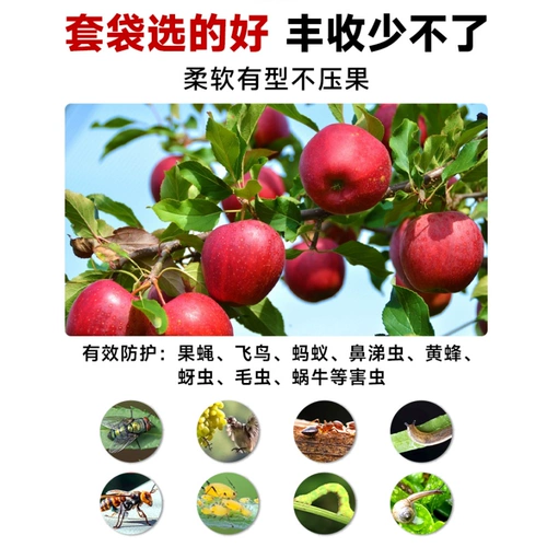 Яблоко 𬞟 Пакет для фруктов, специальный пакет, пленочный пакет, пакет для фруктов, груша, виноград, пластиковый сельскохозяйственный артефакт фруктового дерева для предотвращения насекомых и птиц