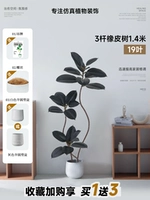 Каучуковое дерево 3-х полюсное, 1,4 метра, 19 листьев, черное + полукруглый цементный горшок 