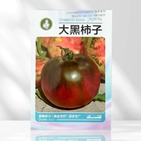 Большие черные семена томатов с черной хурмой 100 зерна оригинала (купить 2 упаковки и отправить 1 упаковку, 1 упаковку одинаковых семян)