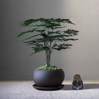 Zen pen pot bamboo+фиолетовый кончик песка