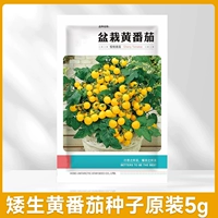 Двадцатиценно -желтые семена томата являются оригинальными 50 капсулами (купить 2 упаковки и отправить 1 упаковку, 1 упаковку тех же семян)