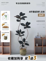 Черный соломенный ластик, 1.8м