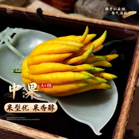 [90% покупателей выбирают] Плоды бергамота класса А+ [1] 300-450 г/шт.