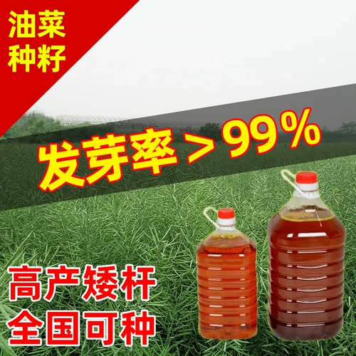 Четыре сезона высотой -лет -рапсовые свинины гилис