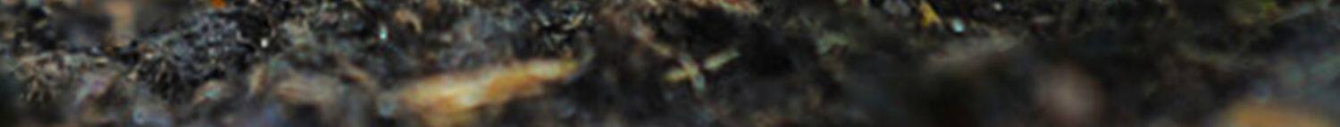O1CN01nD3TW426eFAOSeJpW_!!3384077686.jpg