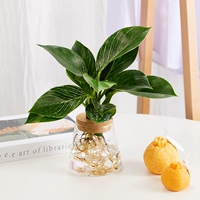 Платиновый бриллиант+чашка вулкана