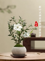 Цветок Лагуа Гарден+белые трещины пеня