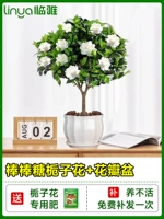 [Живи в течение одного года] -класс -класс на палочке цветок сада+керамический лепесток [принося цветы с горшками и горшками]