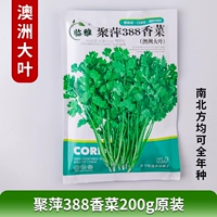 Juping 388 Coriander 200g Оригинальный австралийский север и южная Австралия может быть посажена в течение всего года