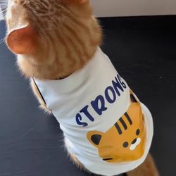 Anti-linting clothes for cats summer British short puppet cat gold gradient blue cat pet dog Spring & Fall thin vest