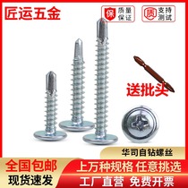 Huaji drill tail screw big flat head self-tapping self-drilling screw cross round head dovetail screws M4 2 8# * 1 2