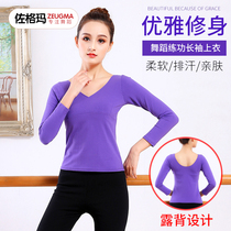 V collar practice dance dress female body dance costume Latin classical folk dance adult new cotton long sleeve top