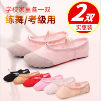 2 pairs of dance shoes womens soft bottom practice shoes adult cat claw shoes men and childrens body ballet dance shoes