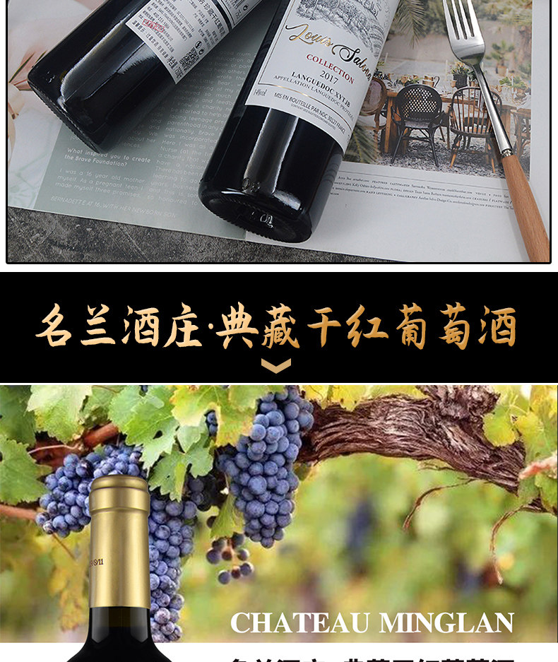 法国原瓶进口 Doris New 新多乐丝 干红葡萄酒6瓶组合装礼盒 图3