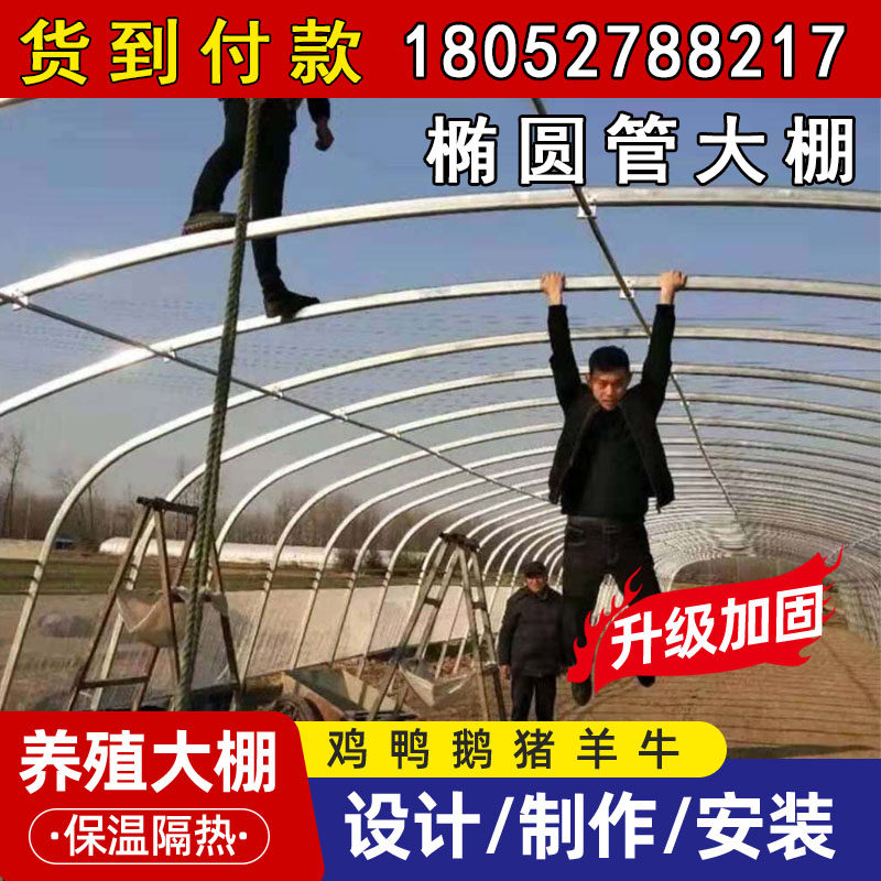Oval tube greenhouse steel pipe skeleton breeding greenhouse full set of vegetable greenhouse cattle shed pig sheep duck goose pen shed chicken shed