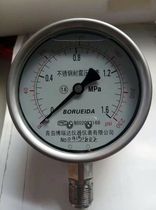 Qingdao Boruida pressure gauge YN00BF all stainless steel seismic pressure gauge M20 * 1 5
