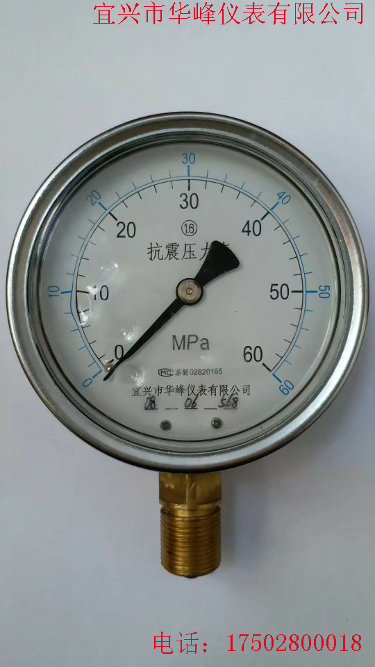 Yixing Huafeng Instrument Co., Ltd. YK100I anti-seismic pressure gauge M20*1 5 thread