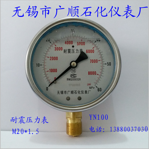 Wuxi Guangshun Pressure Watch YN100 SHOCK RESISTANT PRESSURE METER M20 * 1 5 radial mounting