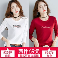 2589 белый+2676 красный