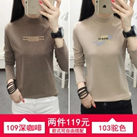 109 Deep Coffee+103 Camel Color