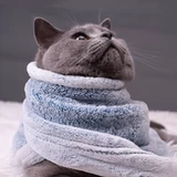 Tmall, зимнее одеяло, зимняя подушка