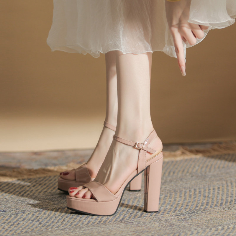 Strap Sandals for Women 2026 Summer New Style Sexy Nightclub Etiquette Catwalk Chunky Heel Platform High Heels for Women