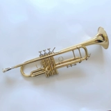 Серебряная труба базха, понижая резненный золотой ключ рога, чтобы сыграть младшую группу, хорошие усилия