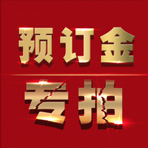 Special link for the payment of the special link in this store
