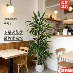 Artificial Bird of Paradise Flowers, Fake Flower Decorations for Living Room Tv Cabinet, Indoor Green Plants, Large Potted Plants, High-End Realistic Imitation Mango Tree