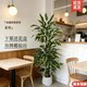Artificial Bird of Paradise Flowers, Fake Flower Decorations for Living Room Tv Cabinet, Indoor Green Plants, Large Potted Plants, High-End Realistic Imitation Mango Tree