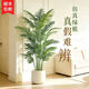 High-Quality Artificial Areca Palm, Artificial Flowers and Green Plants, Fake Trees, Indoor Living Room Decoration Ornaments, Floor-Standing Landscaping, Artificial Green Plants