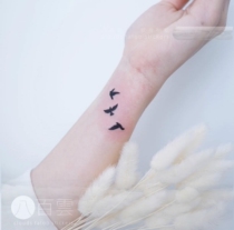 MG big promotion special Korean aesthetic hipster flying swallow flying bird geese small figure tattoo stickers 2 sets