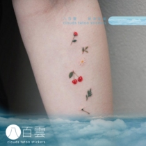 MGs hand-painted eight hundred clouds tattoo stickers fruit system Cherry little Daisy Olive Branch mini fresh tattoo stickers