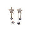 Japanese Premium New Model 925 Silver Needle Micro-Inlaid Star Tassel Earrings, New Japanese and Korean Exquisite Rhinestone Simple and Fashionable Design